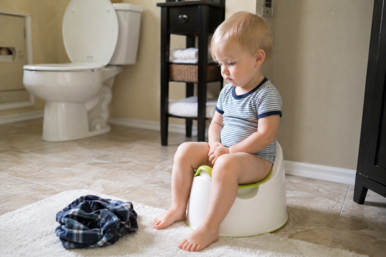 Potty Training a Toddler: Signs of Readiness and Step-by-Step Success